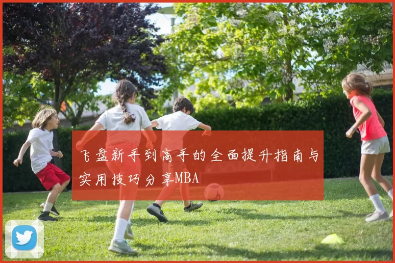 飞盘新手到高手的全面提升指南与实用技巧分享MBA