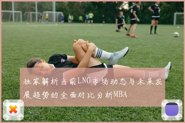 独家解析当前LNG市场动态与未来发展趋势的全面对比分析MBA