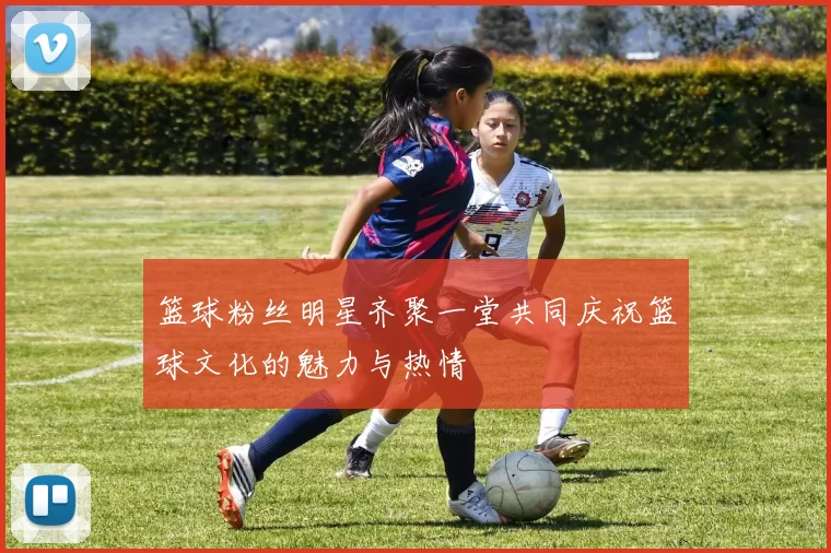 篮球粉丝明星齐聚一堂共同庆祝篮球文化的魅力与热情