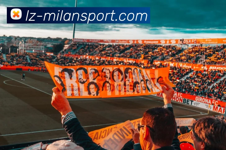 米兰app下载发展历程